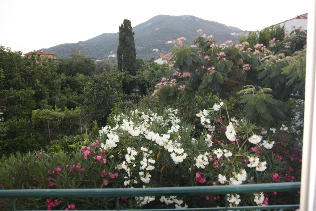 Sappho Studios Mytilene Room photo